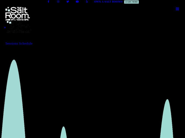 thesaltroom.com